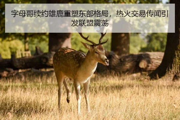 zi-mu-ge-xu-yue-xiong-lu-zhong-su-dong-bu-ge-ju-re-huo-jiao-yi-chuan-wen-yin-fa-lian-meng-zhen-dang-3-344.jpg
