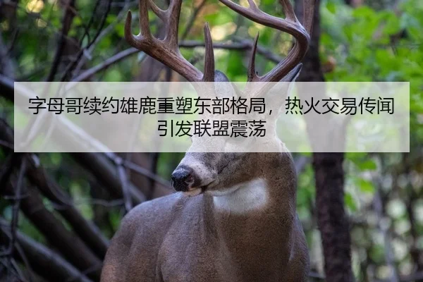 字母哥续约雄鹿重塑东部格局，热火交易传闻引发联盟震荡